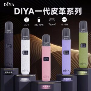 微信图片_20240904121732-300x300-1.jpg 【DIYA叮啞皮革主機】通用一代皮革主機 💖 可卻換 二段功率<8W和10W>