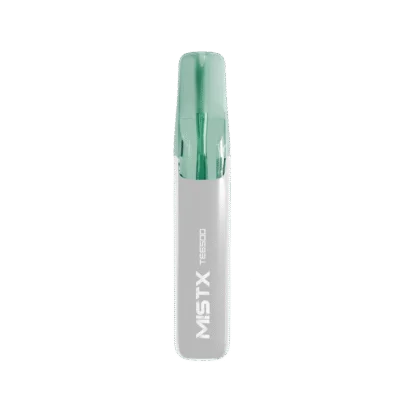 MIST X 鴨嘴獸拋棄式6500口 買十送一